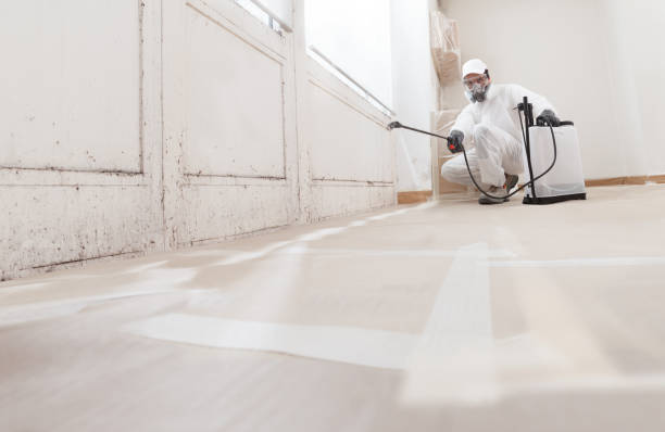 24/7 Emergency Commercial Mold Remediation experts in Alamance, NC